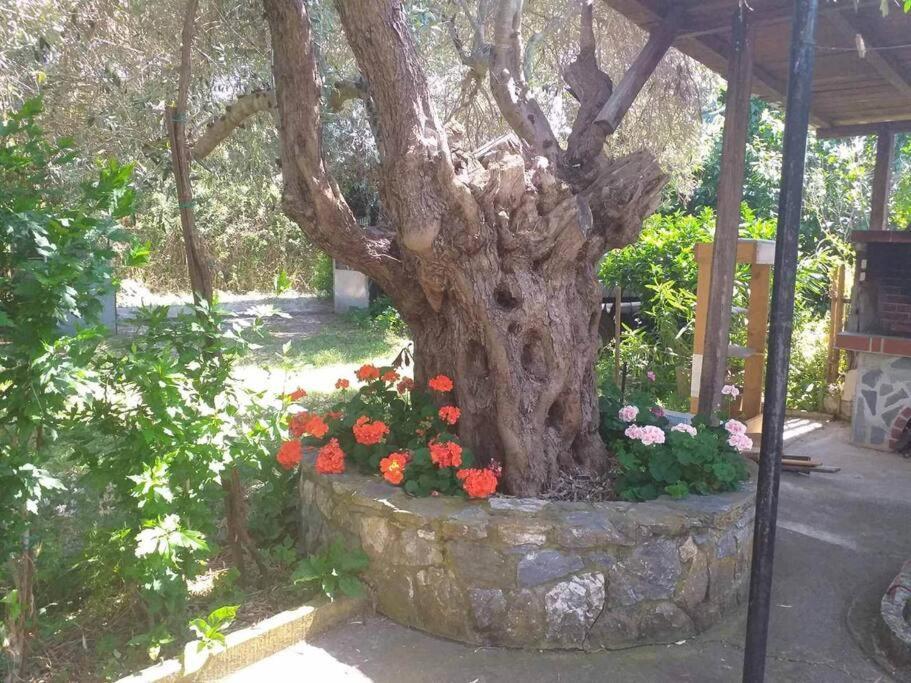 Zephyr Guest House Lefokastro Buitenkant foto